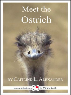cover image of Meet the Ostrich
